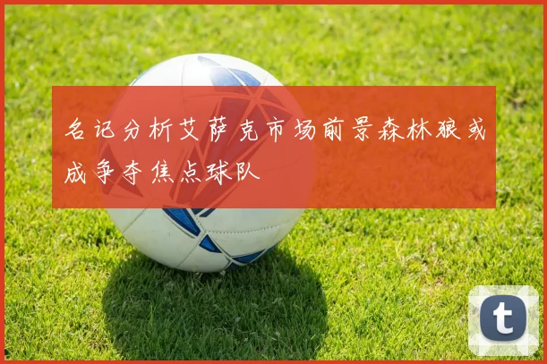 名记分析艾萨克市场前景森林狼或成争夺焦点球队